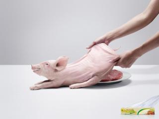 M Wrap: Pork