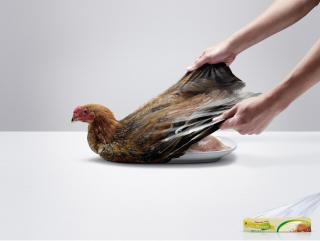 M Wrap: Chicken