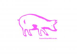 Lazer Lipo SA: Pig
