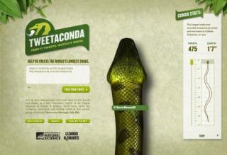 Denver Museum of Nature & Science: Tweetaconda