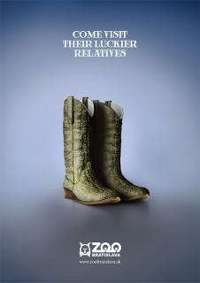 Bratislava Zoo: Bratislava Zoo - Crocodile