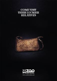 Bratislava Zoo: Bratislava Zoo - Leopard