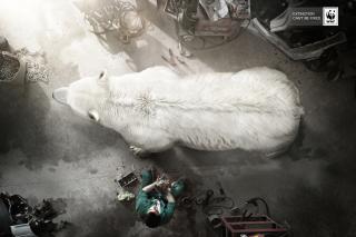 WWF: Polar Bear