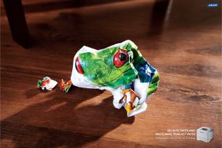 Samsung: Frog