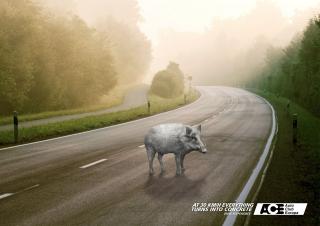 Ace Auto Club: Boar