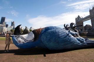 Gold: Dead Parrot, 2