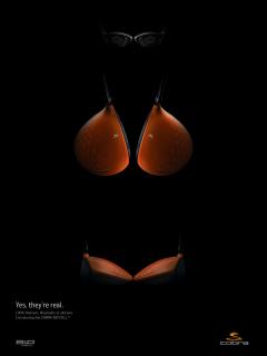 Cobra Puma: Sports Illustrated Swimsuit Edition Ad