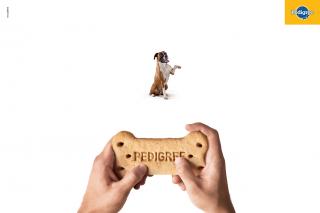 Pedigree: Gamepad, 2