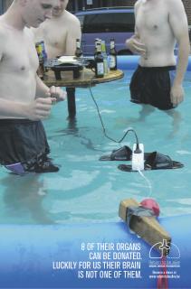 Re-born to be alive: Reborn ‘Swimming pool