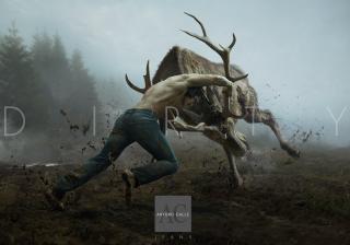 Arturo Calle Jeans: Wild Process