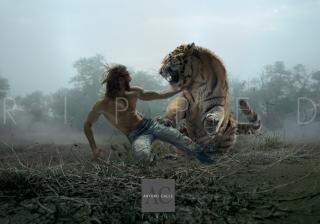 Arturo Calle Jeans: Wild Process