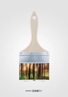 Samsung SUHD TV: Forest