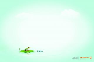 Merrell: Frog