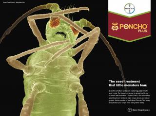 Poncho Plus: Green Peach Aphid