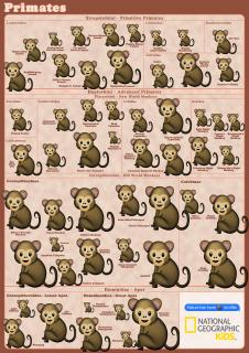 National Geographic Kids Magazine: Monkey