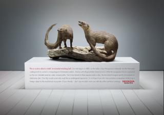 Honda Genuine Parts & Service: Foreign Objects - Herpestes Auropunctatus/Indian Mongoose