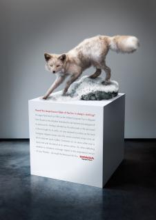 Honda Genuine Parts & Service: Foreign Objects - Alopex Lagopus/Arctic Fox