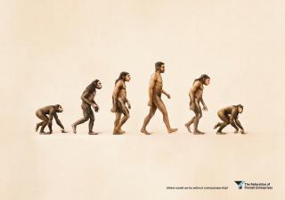 The Federation of Finnish Enterprises: The Evolution