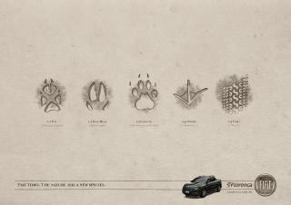 Fiat Toro: New Species