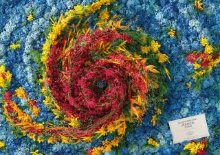 Close To Nature Flowers: Hurricane Jessica