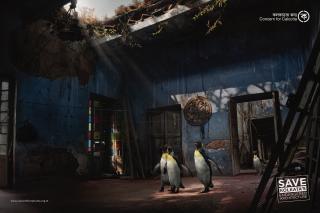 Concern for Kolkata: Penguin's