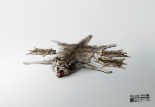 Freeland Foundation: Wolves