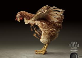 AMMELOO Non-Stick Pans: Chicken