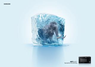 Samsung Electronics: MAMMOTH