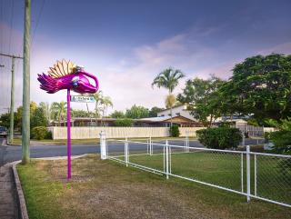 ANZ: Flamingo-go