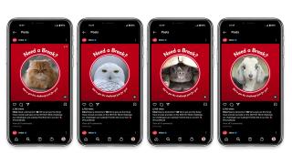 KitKat: Blink Break