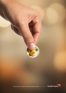 World Vision: A Coin