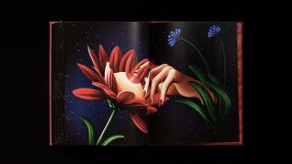 O Boticário: Her Touch, 6