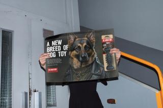 Gladiator: A new breed of dog toy...