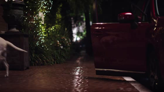 Subaru: Doggie Bag