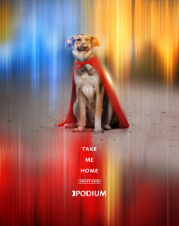 Podium: Dog 2