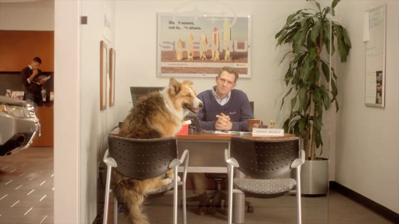 Subaru of America: Intro