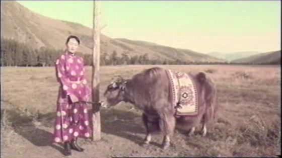 Fat Yak: Grooming & Adornment