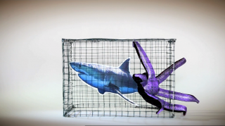 American Garden Microwave Popcorn: Sharktopus