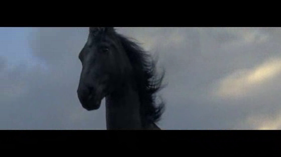 Lloyds Bank: New Dawn
