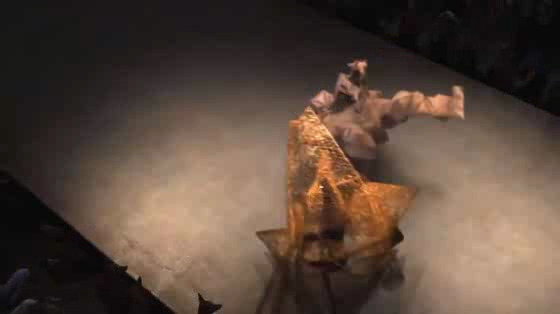 PETA (People for the Ethical Treatment of Animals): Runway Reversal