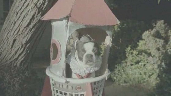Ford: The Dog