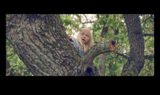 Finnair: The Tree