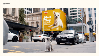 PEDIGREE: Adoptable. By PEDIGREE