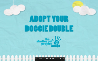 The Shelter Pet Project: Doggie Double