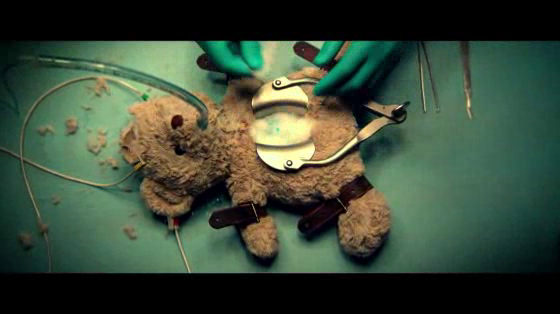 Peta: The Bear