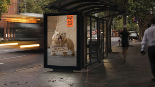 Guide dogs SA/NT: Dogs Unite For Guide Dogs