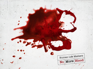 Great Cause: Human Life Matters