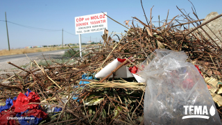Tema: Dumping is forbidden by law