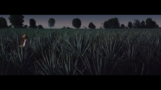 Patron: Patron x Guillermo Del Toro