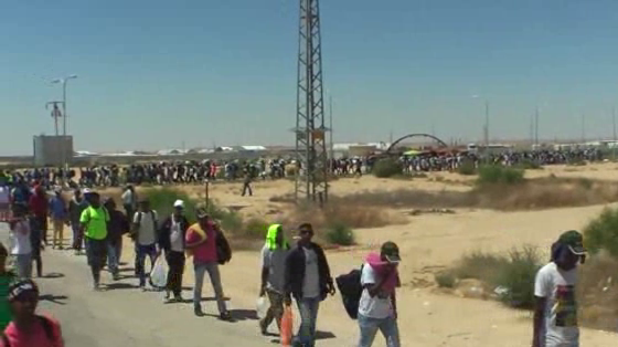 ADIRT (Association for the Rights of Immigrants and Refugees in Tunisia): #Likeanimals